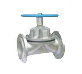 SEG41W�l������Ĥ�y